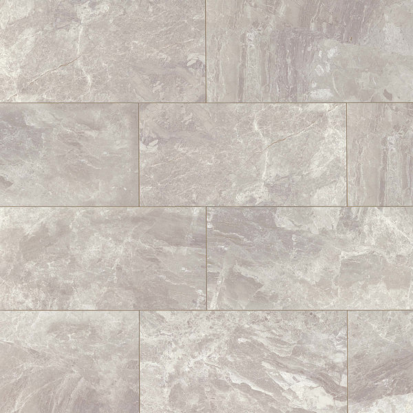 Classic 12" x 24" Porcelain Field Tile in Bardiglietto