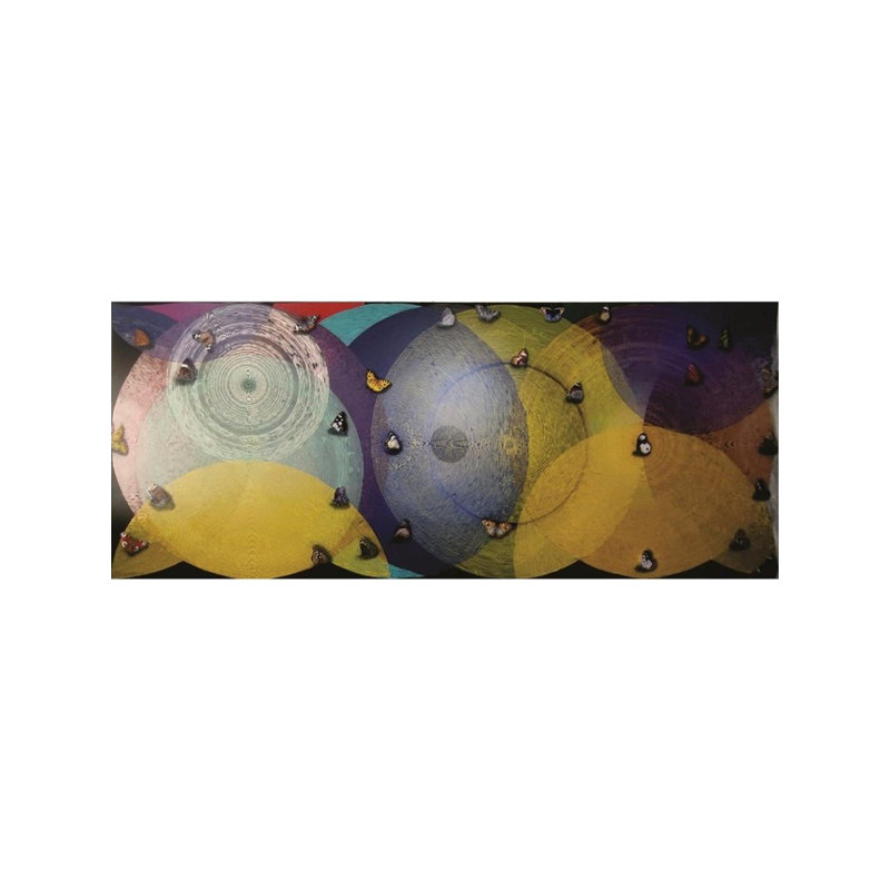 «Happy Vibration Large», peinture acrylique par Ghanshyam Gupta - Cercles concentriques abstraits de 80 po x 194 po avec papillons, toile peinte à la main éclatante, décoration murale remarquable