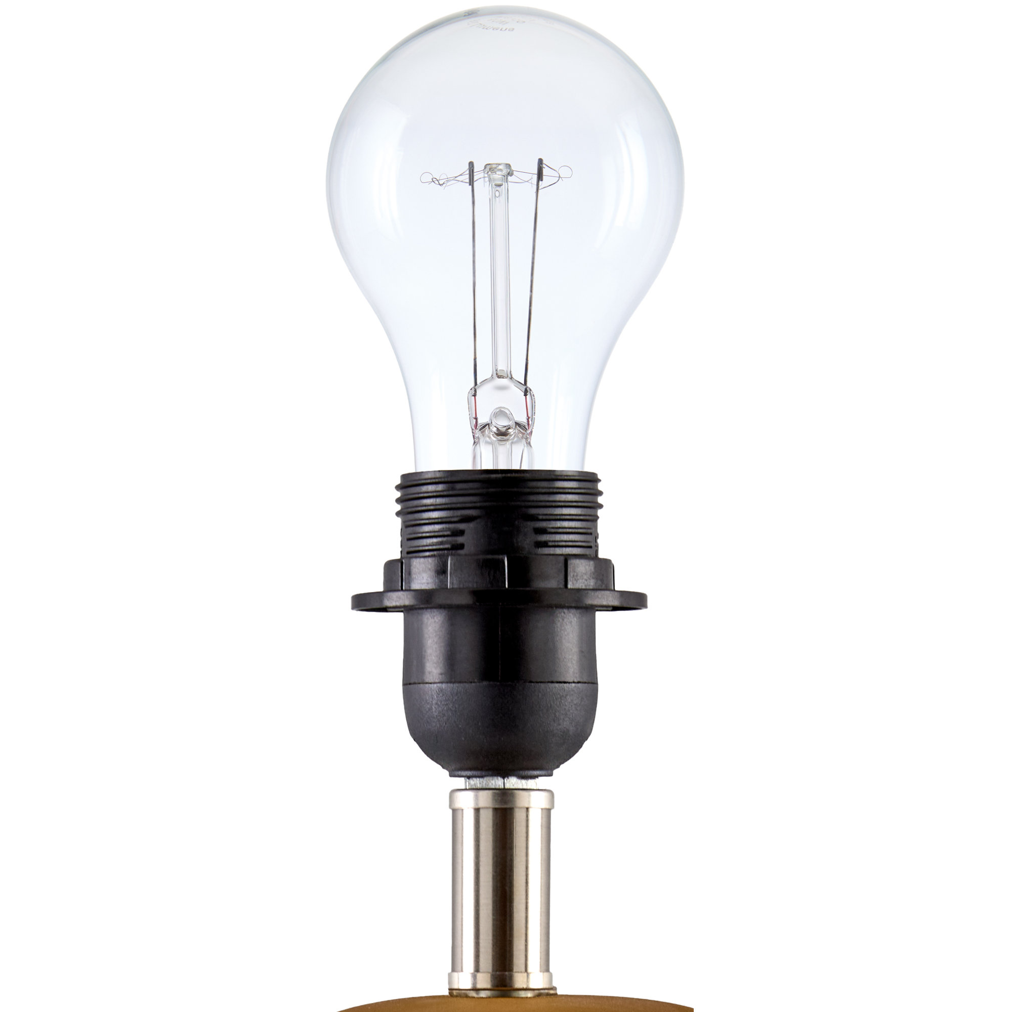Momsen Scallop Shade Matte Lamp, Tan, White, 15"H x 8"W x 8"D
