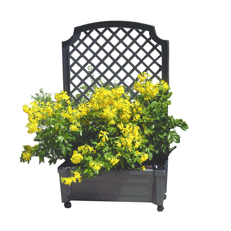 Brandun Planter Box with Trellis, Anthracite