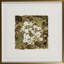 Gold & Hydrangea Print by Robert Robinson