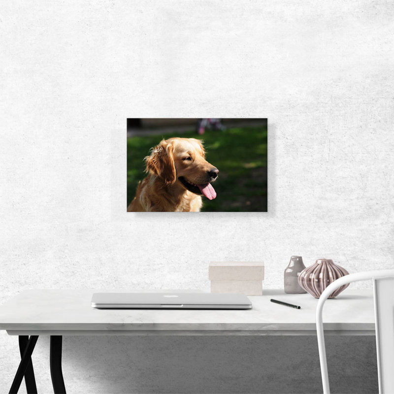 Golden Retriever Dog Home Decor - reproduction de photo sur toile tendue, H 12 po x l 18 po x 1,5 po