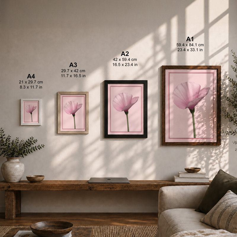 Single Stem In Pink Botanical - Print, Unframed, A4 - 29.7 x 21.0 cm