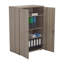 Buariki 2 -Door Storage Cabinet-16413409