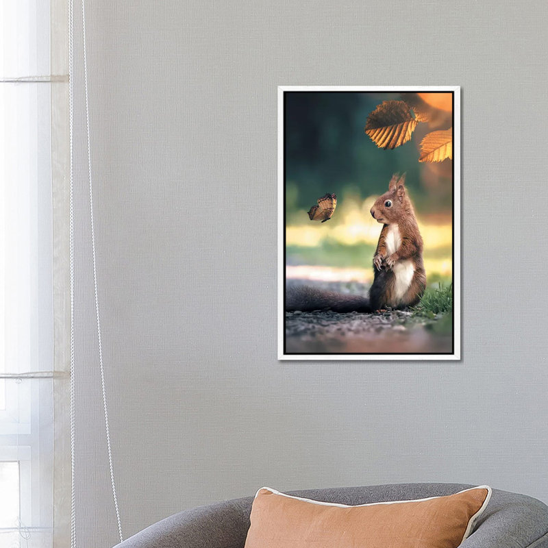 Squirrel Butterfly by Zenja Gammer - Print on Canvas, 66.04 cm H x 45.72 cm W, White Framed