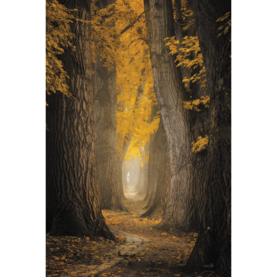 Chemin d'automne