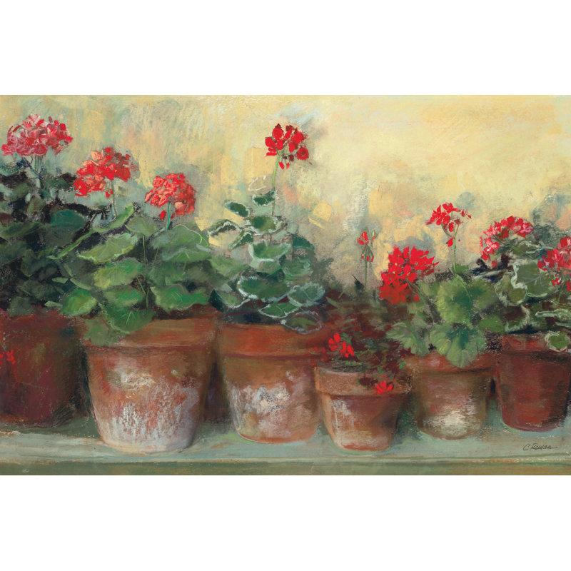 Kathleens Geraniums par Carol Rowan, reproduction d'art sur toile tendue, H 20 po x l 30 po, Non, Imprimé avec cadre noir
