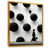 Gold Floater Framed