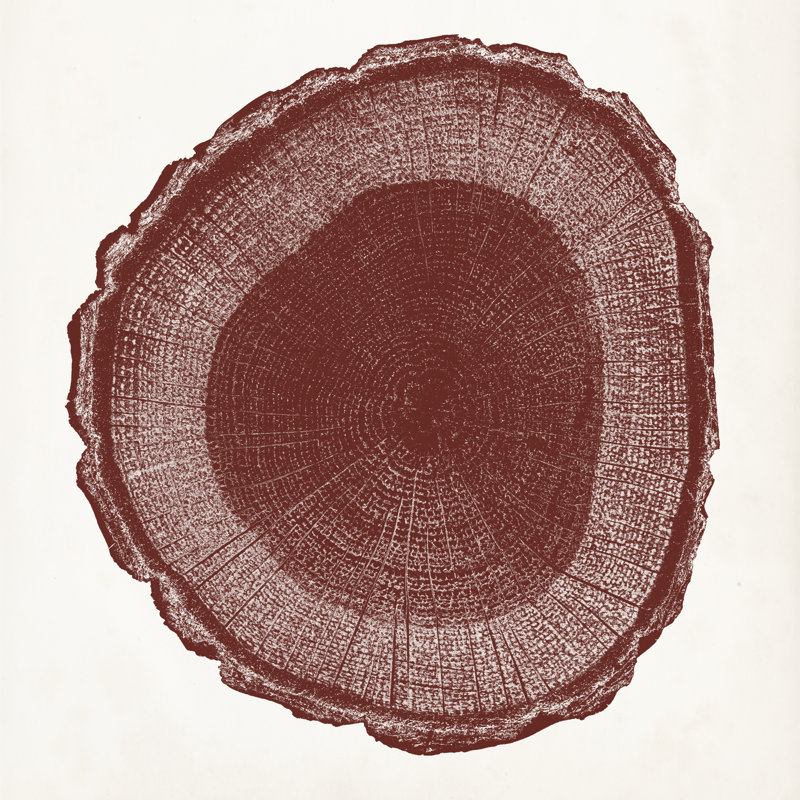 Anneau d'arbre I, H 36 po x l 36 po x P 1,25 po