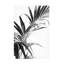 Art sur toile, noir et blanc 03-105647341