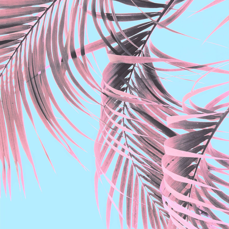 «Delicate Pink Palms», impression sur toile tendue, H 20 po x l 20 po, Non, Cadre simple érable érable