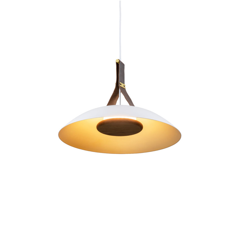 Luminaire suspendu à DEL 18 po Volo, Laiton brossé / blanc, Brun, 3500K