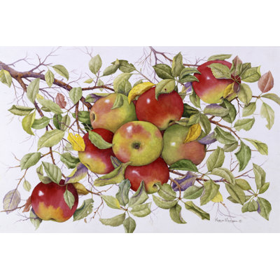 Apples by Marcia Matcham - Wrapped Canvas Print