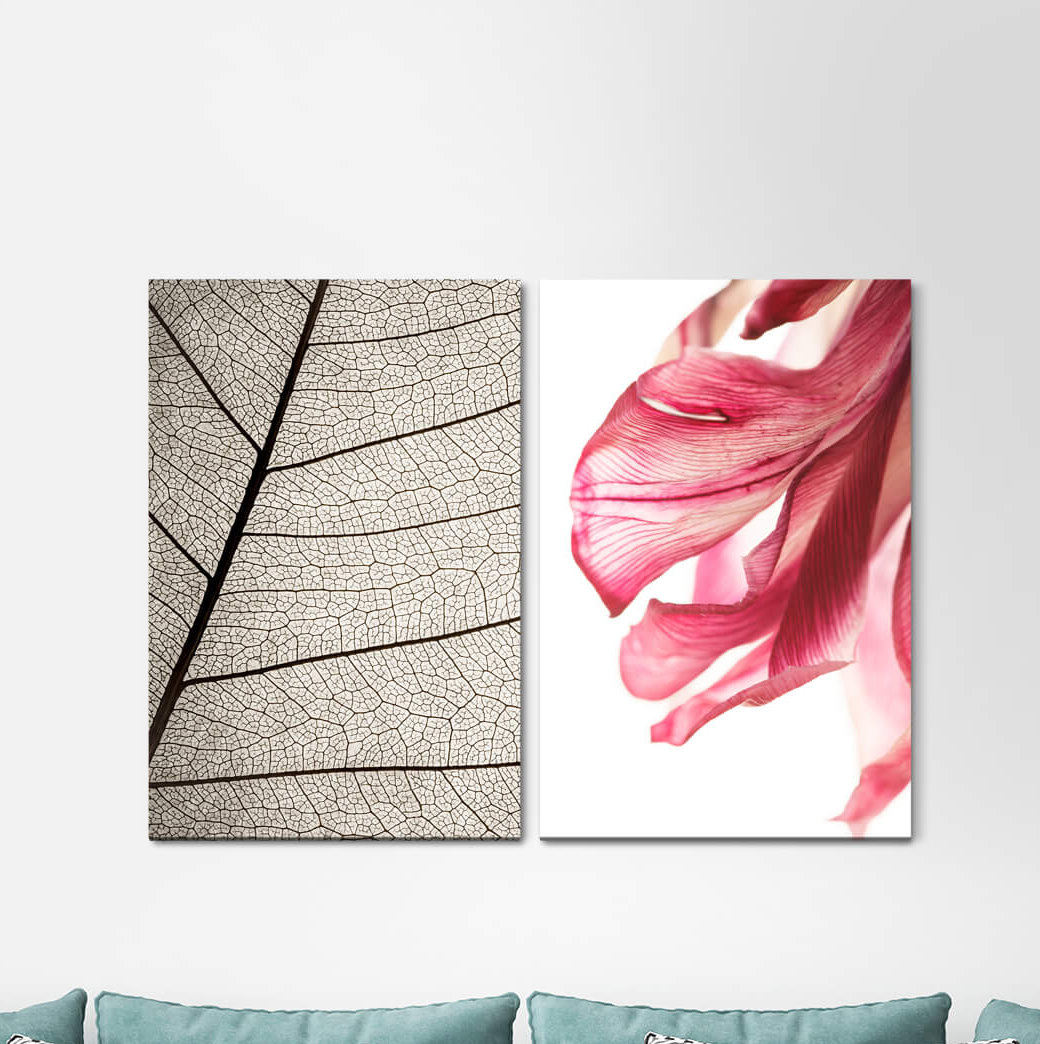 2-tlg. Leinwandbilder-Set - Fotografie „Orchid Veins Leaf Structure Red Blossom Clear”