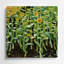 Légumes, tournesol, micro-verts, art mural en métal brun-2131422141