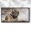 Tigre royal du Bengale - Toile tendue avec châssis encadré - Prêt à être accroché-537360884-537360880
