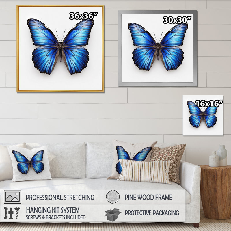 Vibrant Blue Butterfly II - Butterfly Wall Art, Wrapped Canvas, 24" H x 32" W x 1" D