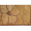 Tapis abstrait floral doré 7 x 10