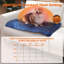 Cahra Pet Bed Accessory