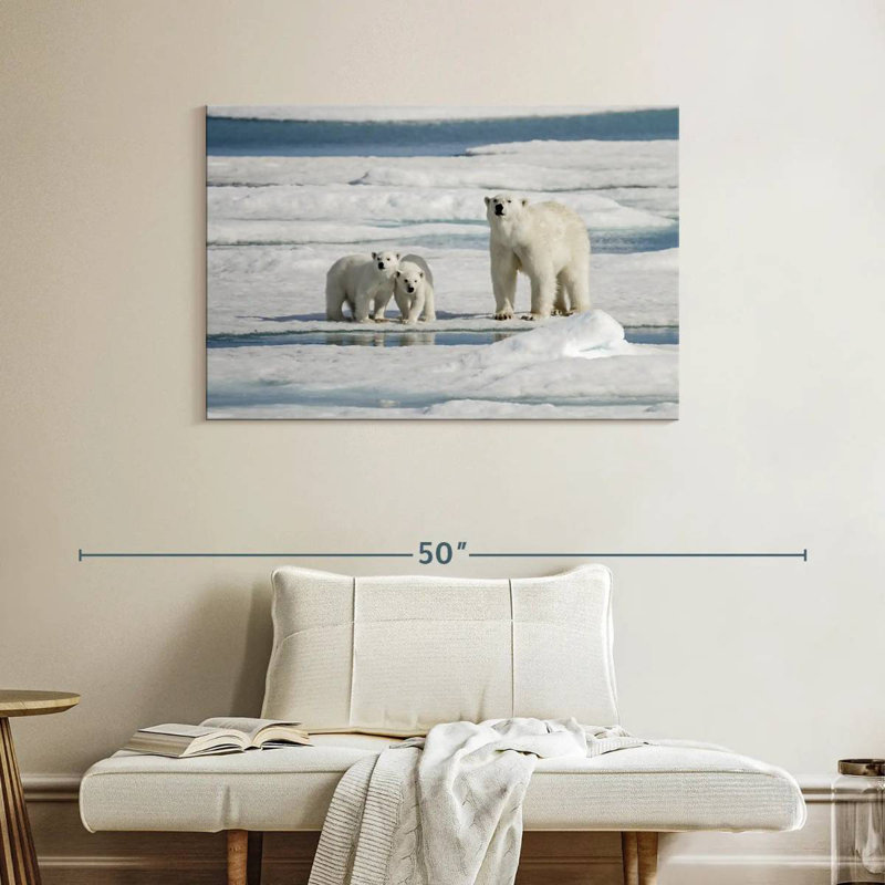 Ours polaires Brampt Longyearbyen, H 26 po x l 39 po