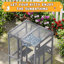 Cat Cage-1718835910
