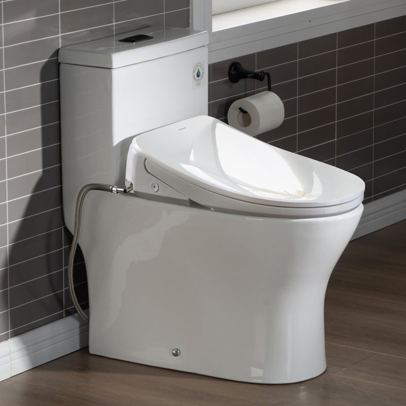 One Piece Toilet with Electric Smart Bidet Seat,Auto Open&Close,Heated Seat,Wireless Remote,Advanced, Matte Black