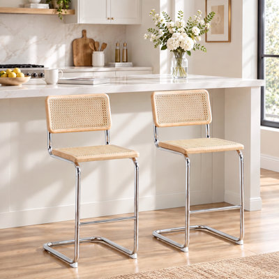 Marlow Modern 24.8" Cane Rattan Cantilever Counter Stools with Metal Frame