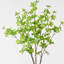 1 branche verte Audet Enkianthus Perulatus artificielle-359935791
