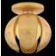 Anthos 1 - Light Semi-Flush Mount