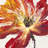Fleur Rouge II by Tim OToole - Wrapped Canvas Painting-1385116805