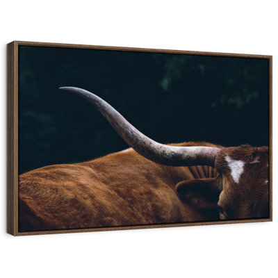 Cow Texas Longhorn