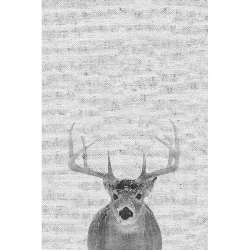 Grey Deer II - Wrapped Canvas Print, 46 cm H x 30 cm W x 4 cm D