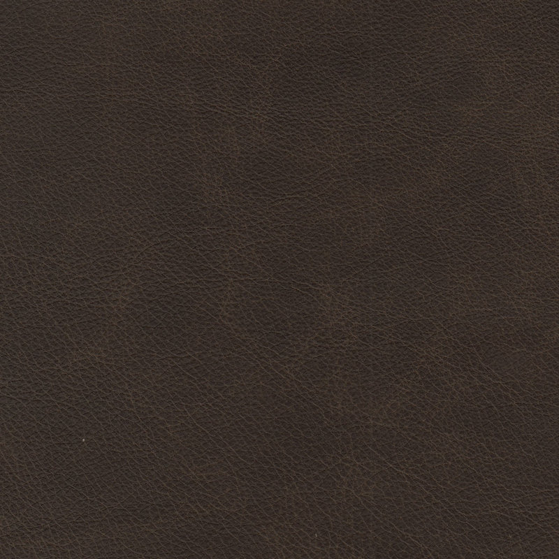 Nixson 100'' Genuine Leather Sofa, Brown
