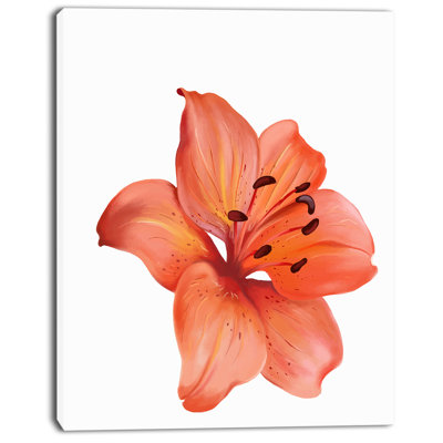 « magnifique red lily aquarelle », reproduction d’art sur toile tendue
