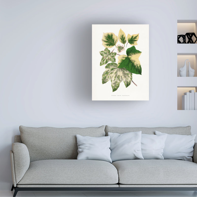 Art sur toile Les Plantes, H 24 po x l 18 po