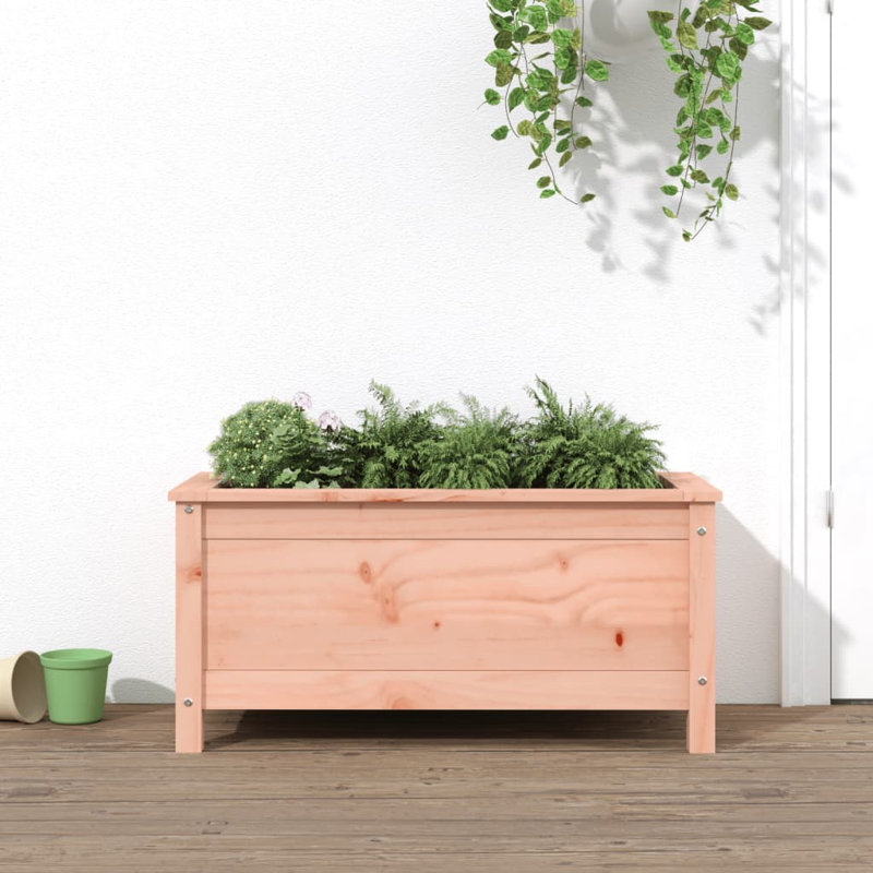 Blaguna Wood Pot Planter, Brown, Douglas, 39cm H x 82.5cm W x 40cm D