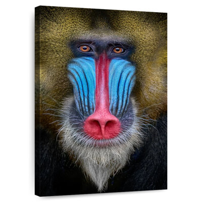 Singe Brampt