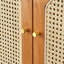 Armoire de rangement pour chaussures en rotin-179638341-177276151