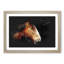 Brown Shire Horse - Framed Print-56917126-56917131