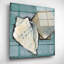 «Seashell Sketch II» par Tim O'Toole, art mural en verre acrylique-2051484232