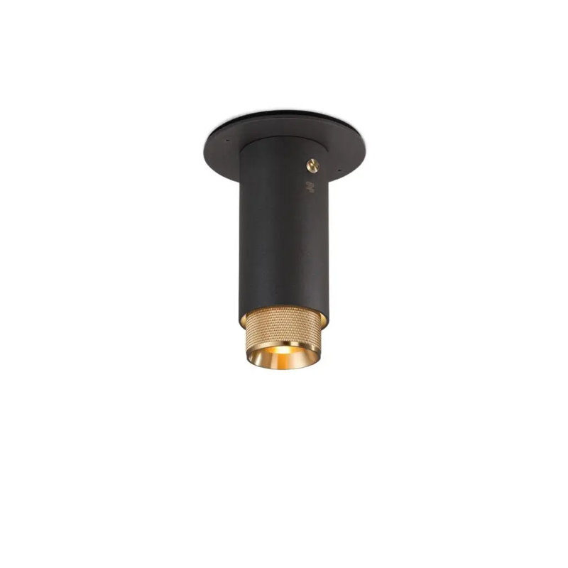 1 - Light Flush Mount, Brass, Graphite