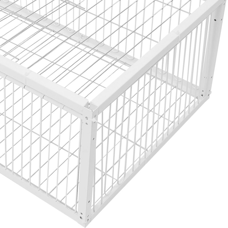 Cage en fer avec entrée à sens unique pour pigeon