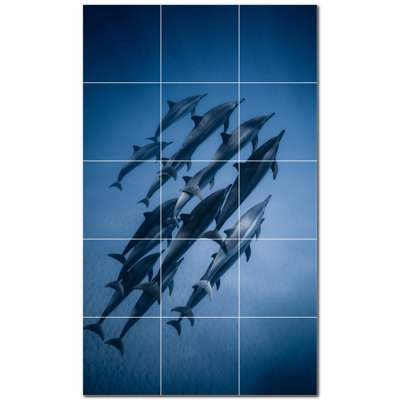 Photo d'un dauphin 4,25 x 4,25
