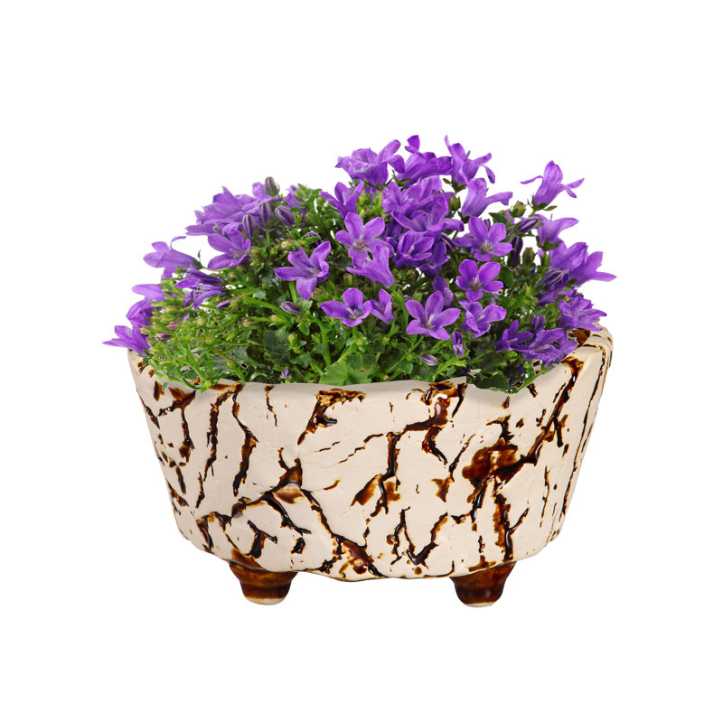 Pot à fleurs en céramique craquelée