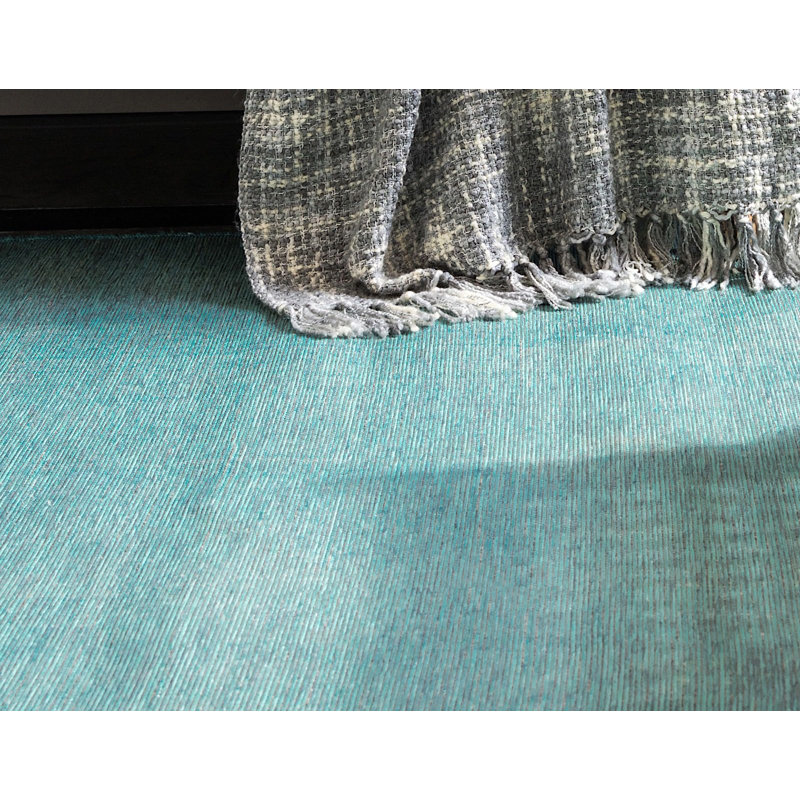 Tapis d'extérieur variété de jardin de couleur turquoise, Tapis de couloir 2 pi x 6 pi