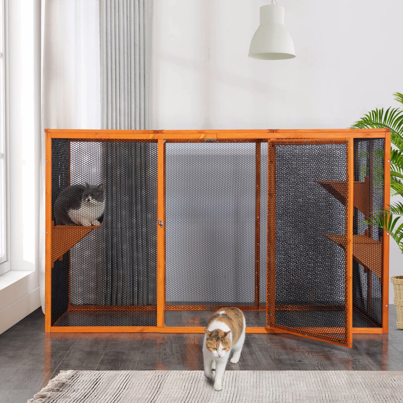 Enclos pour chat avec toit imperméable et 3 plateformes de saut