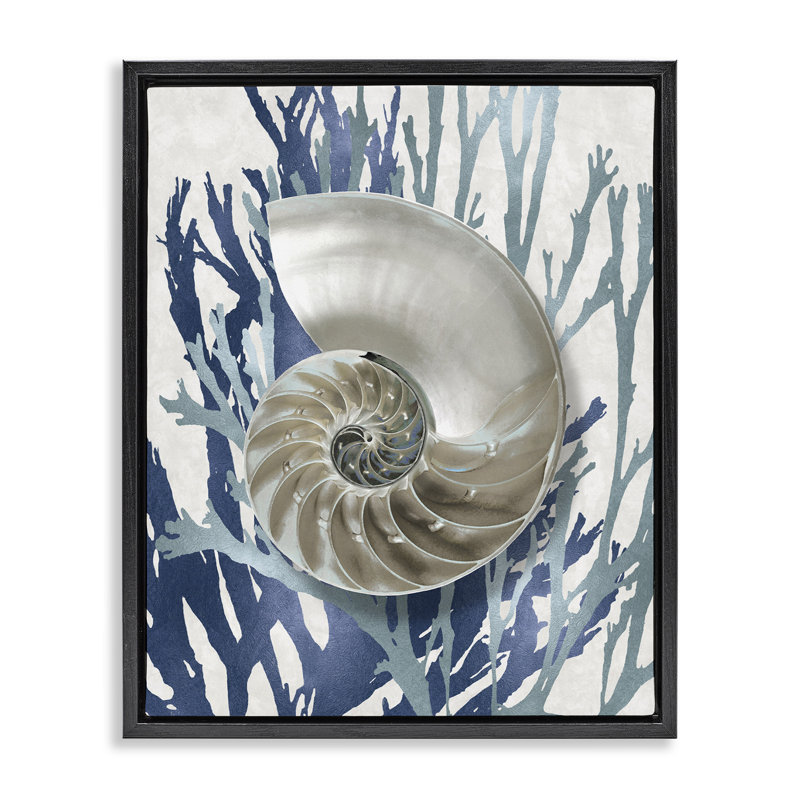 «Shell Coral Beach Blue Design Brown Grain» par Caroline Kelly, H 17 po x l 21 po, Cadre flottant noir de jais