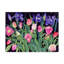 Taryn «Tulips and Irises», reproduction de peinture à l'huile sur toile tendue-26111419