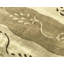 Hand-Knotted High-Quality Beige Area Rug