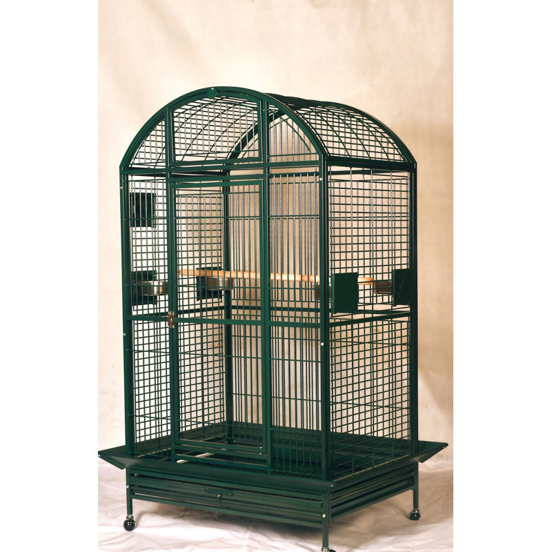 Cage XX XX, Extra Extra Large (75" H x 40" W x 30" D), Vert